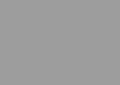 1088 Medio Grey
