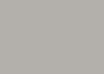 2009 Silver Grey
