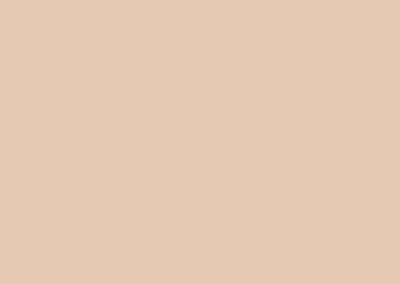 9019 Cream Clair