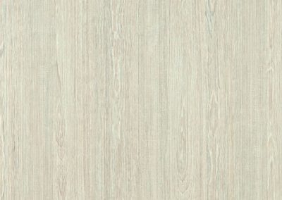 9124 Timber Vein